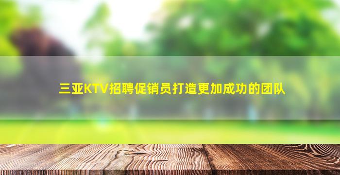 三亚KTV招聘促销员打造更加成功的团队